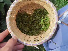 -龙坞茶村
