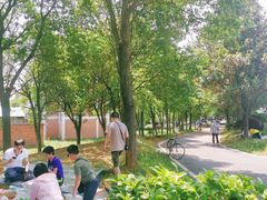 -千龙湖生态旅游度假区