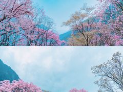 -九皇山景区