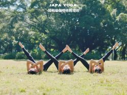 -加帕瑜伽培训学院