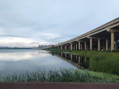 -丁香湖公园