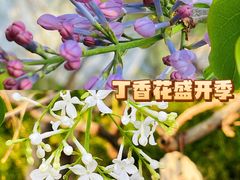 -宣武艺园