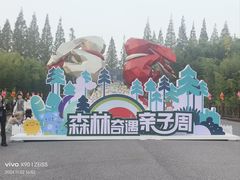 -黄海国家森林公园