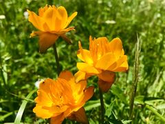 -白草畔自然风景区