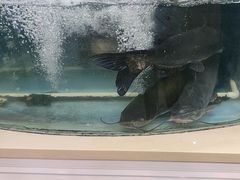 -屯老二农家铁锅炖·行业领军者(梅江店)