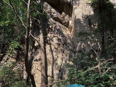-大岭沟猕猴桃谷风景区