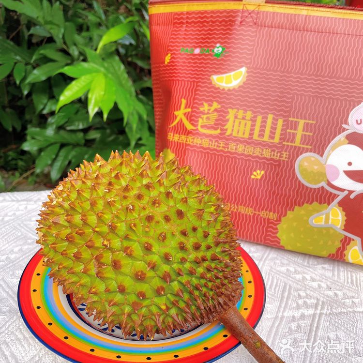 到底大芭猫山王榴莲是什么味道？