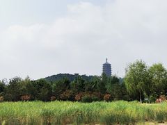 -永定河休闲森林公园