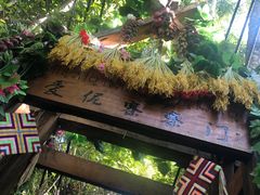 -西双版纳原始森林公园