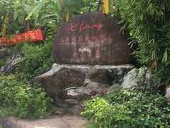-七仙岭温泉国家森林公园