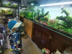 -朝来春花卉市场