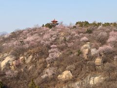 -白水寺森林公园