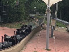-富斯特索道