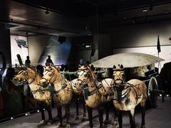 -秦始皇帝陵博物院-丽山园