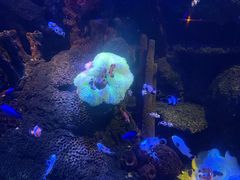 -沈阳海洋探索中心