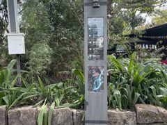 -黄龙溪古镇