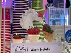 -Dooley's Premium Ice Cream
