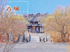 -爱新觉罗皇家博物院