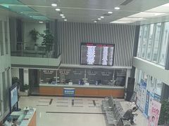 -同济大学附属同济医院分院
