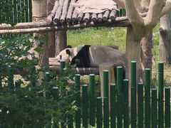 -沈阳森林动物园