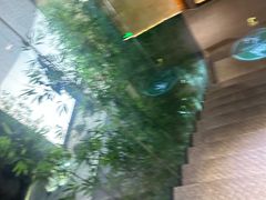 -新紫霞养生·影院足道·SPA(金山区店)