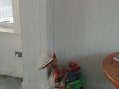 -必胜客(八一店)
