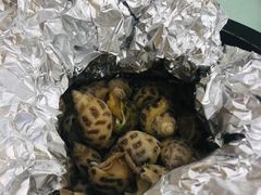 盐焗花螺-湛江渔港·大排档(乐园路总店)
