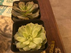 -十二饭点·川菜(北站圆融店)