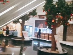-花之城