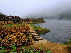 -广州市石门国家森林公园