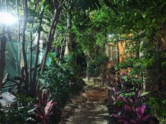 -正佳雨林生态植物园