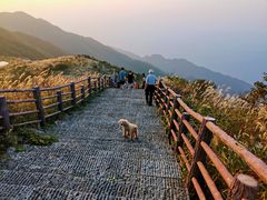 -大围山国家森林公园