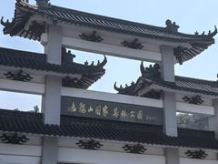 -平湖九龙山旅游度假区