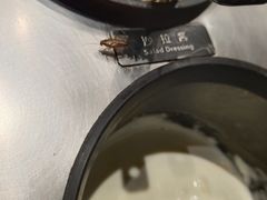 -比格比萨自助(花园路店)