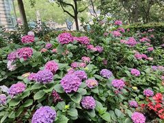 -常州古运河南大街文化旅游区-人民公园