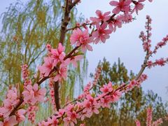 -西海子公园