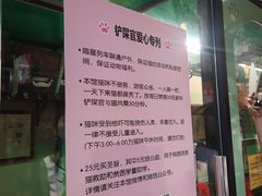-猫咪博物馆(顶澳仔猫街店)