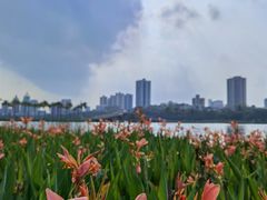 -南宁南湖公园