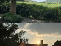 -龙井壹号·茶缘山景宴(龙井村店)