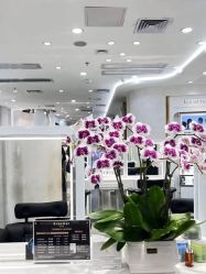 -Kraemer Paris  苏豪路易士·嘉玛发廊