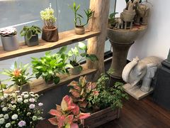 -十二舍·湯物素煮(江泰潤政店)