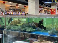 -东江海鲜酒家(艺都分店)