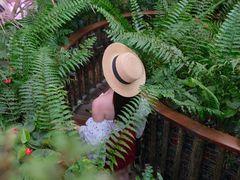 -正佳雨林生态植物园