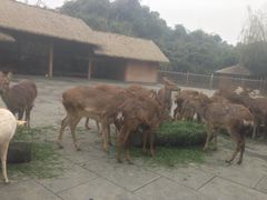 243-金沙遗址博物馆
