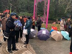 -人民公园-相亲角