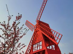 -绵阳盛世樱花悠乐谷