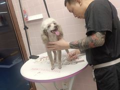 -FAELING PETS美天灵宠物(富力广场店)