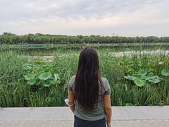 -素心小筑(后沙裕镇店)