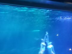 -石家庄海洋公园