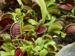 -国家植物园南园